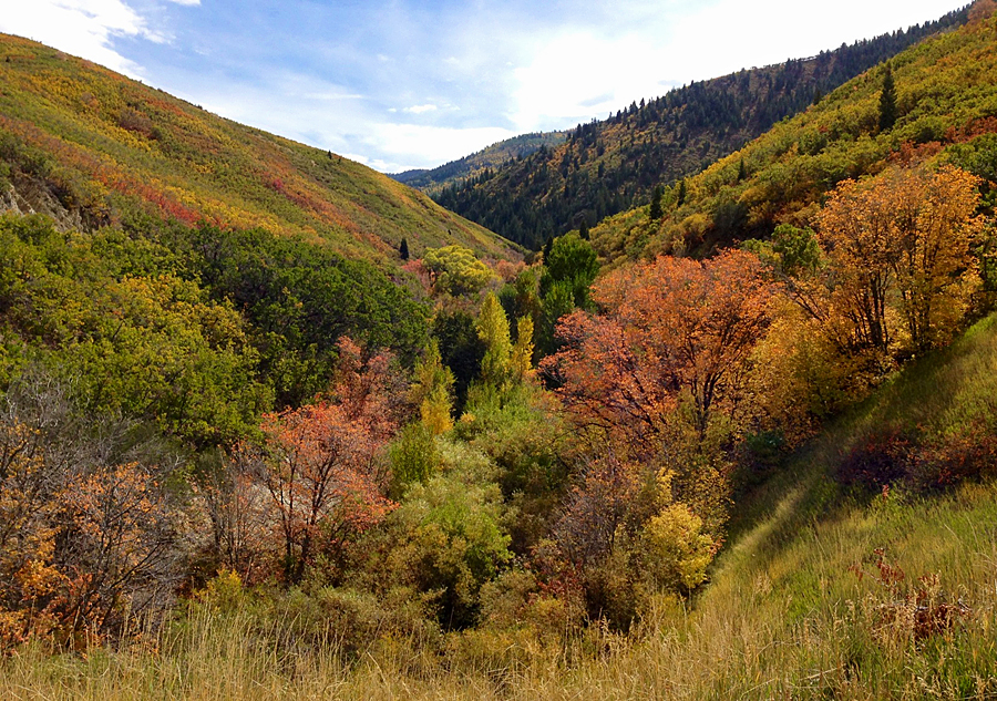 Lamb's Canyon in the Fall