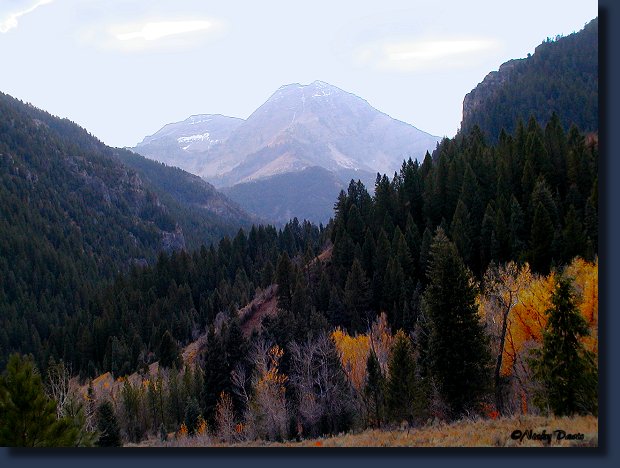 Tibble Fork to Timpanogos in Fall